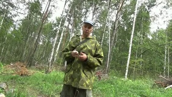 Лесоповал Rutube