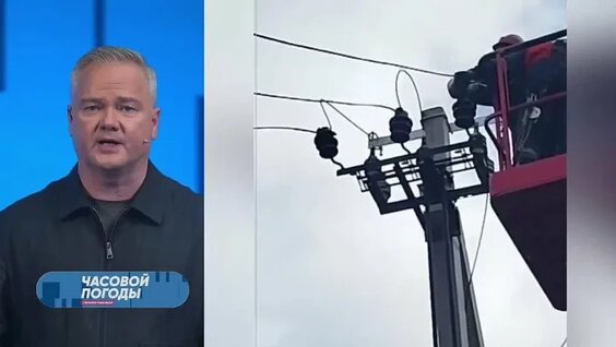 Лесоповал VK Видео