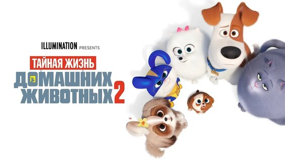 Лейк Белл VK Видео