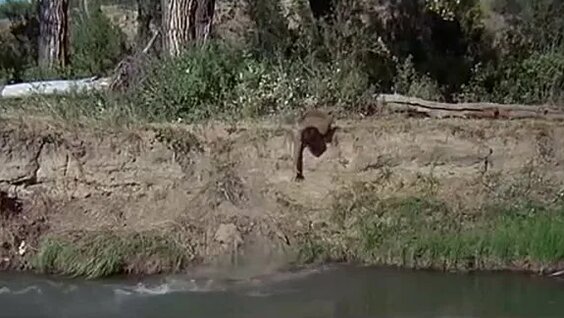 Little Big VK Видео