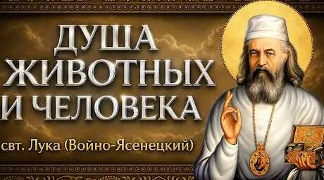Лука Войно-Ясенецкий YouTube