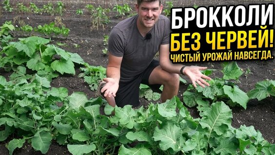 Макан VK Видео