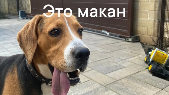 Макан VK Видео