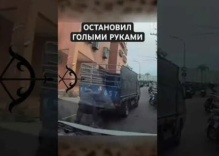 Макс Голополосов YouTube