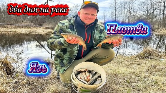 Максим Киселев VK Видео