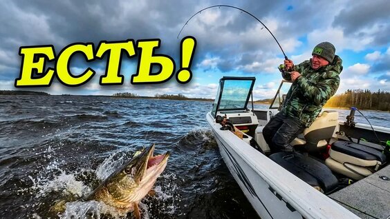 Максим Киселев VK Видео