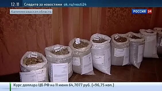 Максим Морозов VK Видео