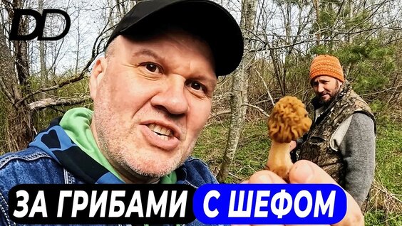 Максим Сырников YouTube