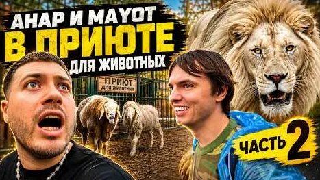 Mayot YouTube