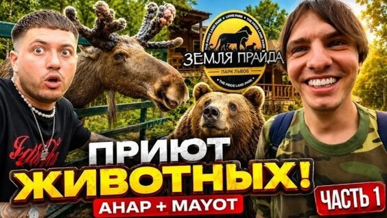 Mayot VK Видео