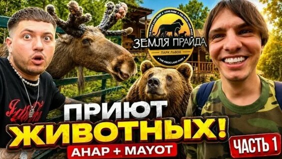 Mayot VK Видео