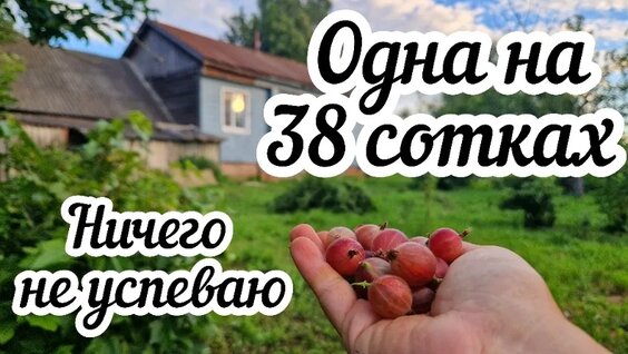 Михаил Булгаков VK Видео