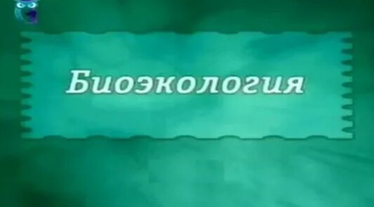 Михаил Хазин Rutube