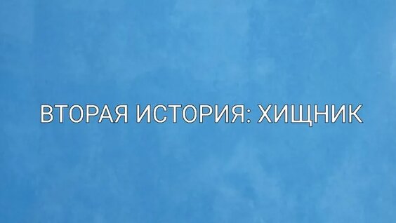 Михаил Прохоров VK Видео