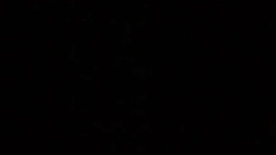 Михаил Пуговкин VK Видео