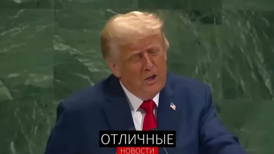 Михаил Веллер VK Видео