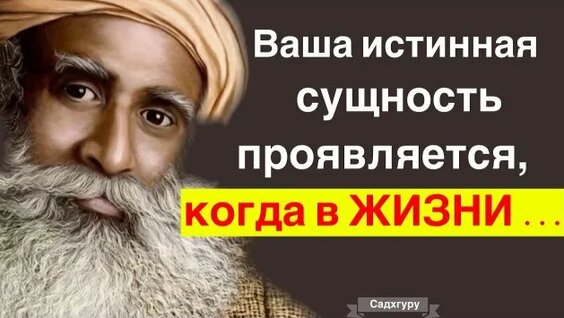 Михаил Задорнов Rutube