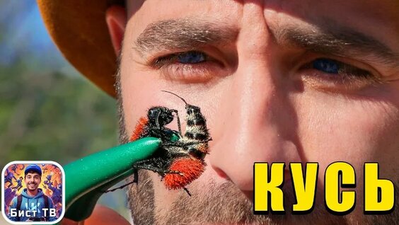 Мистер Бист VK Видео