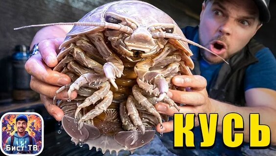 Мистер Бист VK Видео
