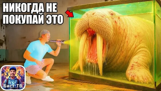 Мистер Бист VK Видео