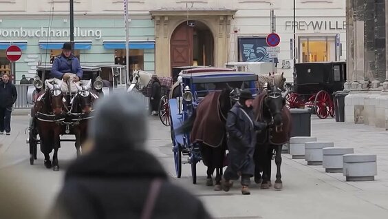 Митрополит Иларион VK Видео