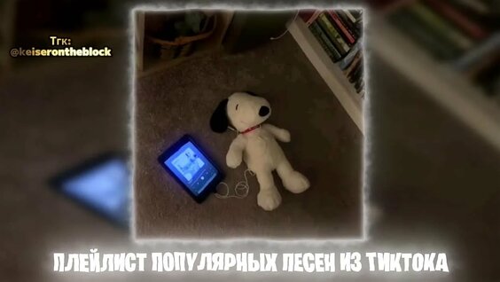 Монеточка VK Видео