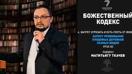 Моральный кодекс YouTube