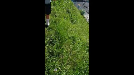 Мот VK Видео