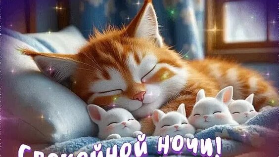 Надежда Петрова VK Видео