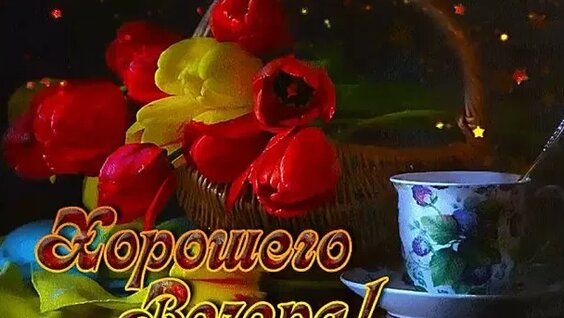 Надежда Петрова VK Видео