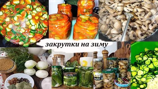 Наталья Гончарова Дзен