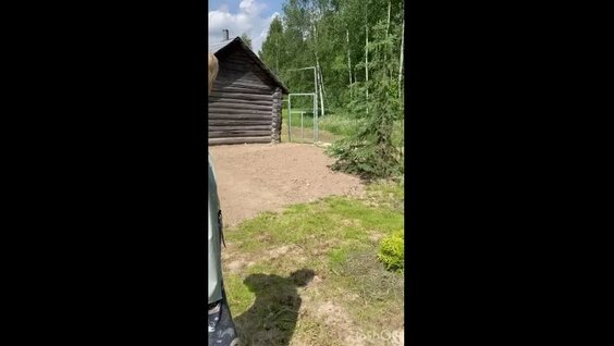 Наталья Максимова VK Видео