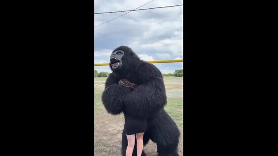 Наталья Максимова VK Видео