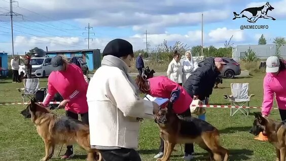 Наталья Максимова VK Видео