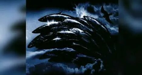 Nautilus Pompilius YouTube