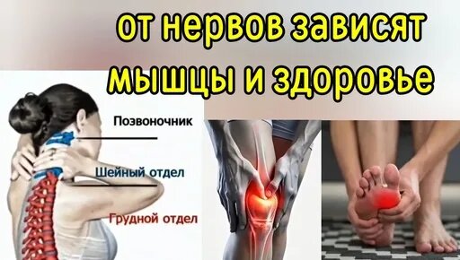 Нервы Дзен