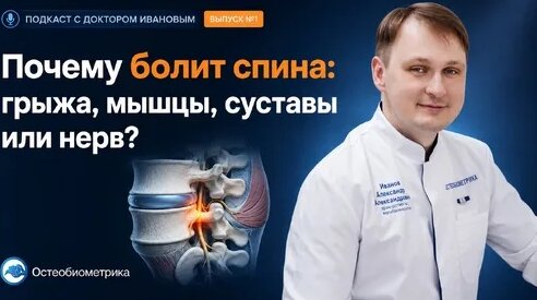 Нервы Дзен