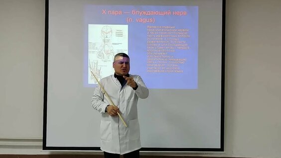 Нервы VK Видео