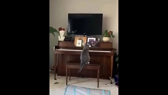 Николай Андреев VK Видео