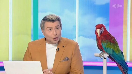 Николай Басков VK Видео