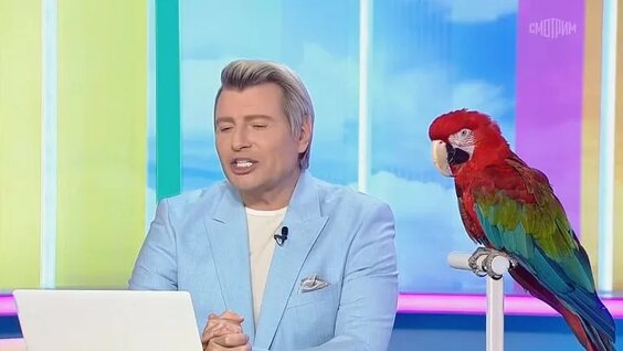 Николай Басков VK Видео