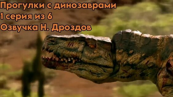 Николай Дроздов VK Видео