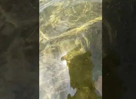 Николай Дроздов YouTube