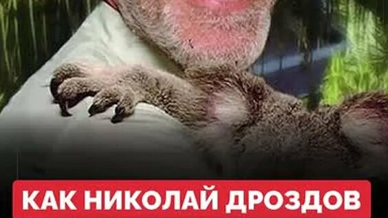 Николай Дроздов ОК