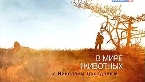 Николай Дроздов VK Видео
