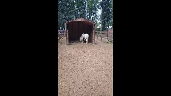Николай Дроздов 2 недели назад