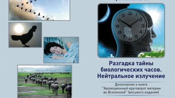 Николай Семёнов Rutube