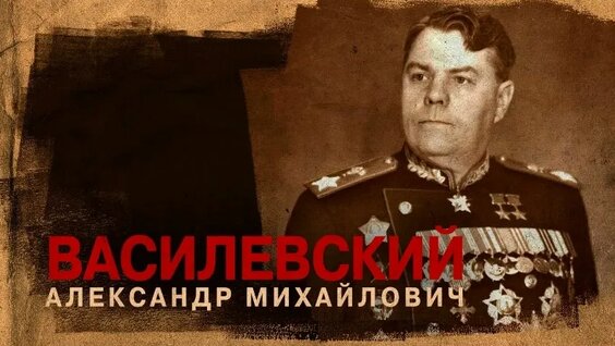 Николай Сванидзе VK Видео