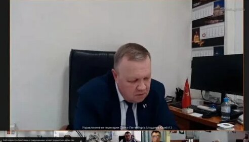 Нина Останина Дзен