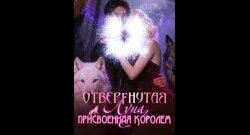 Нюша VK Видео